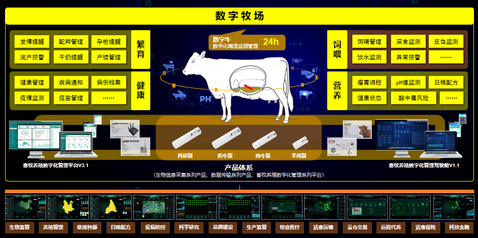 图片4.png